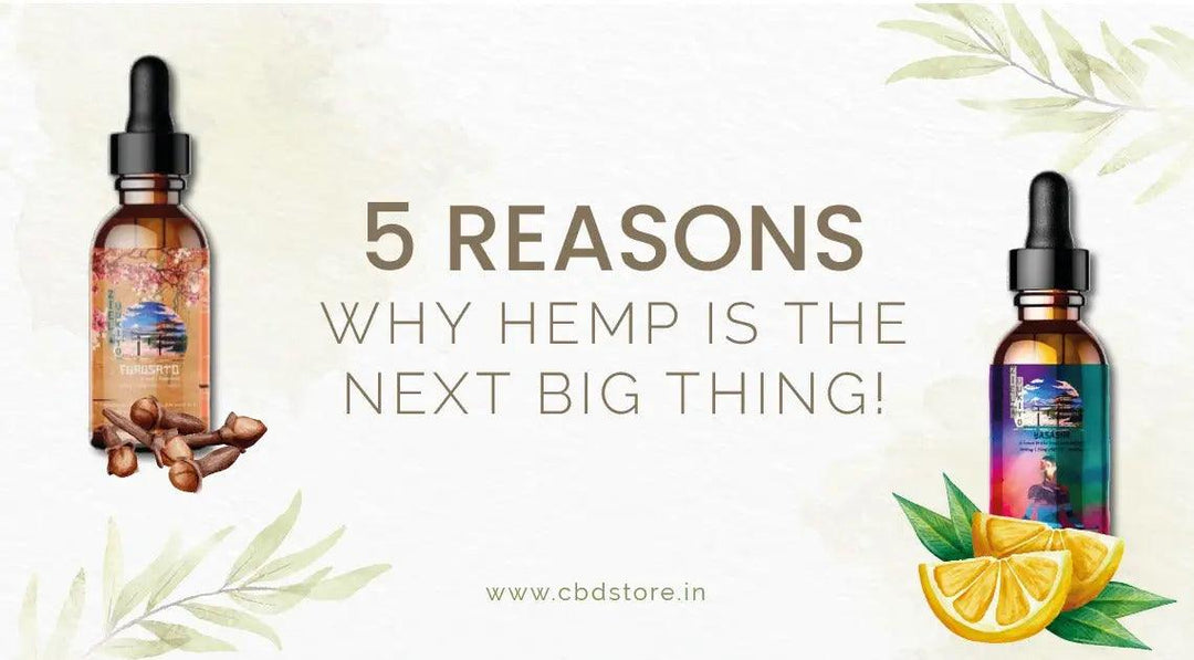 5 reasons why Hemp is the next big thing! - CBD Store India