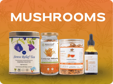 Mushrooms:  Ancient Wisdom Meets Modern Wellness