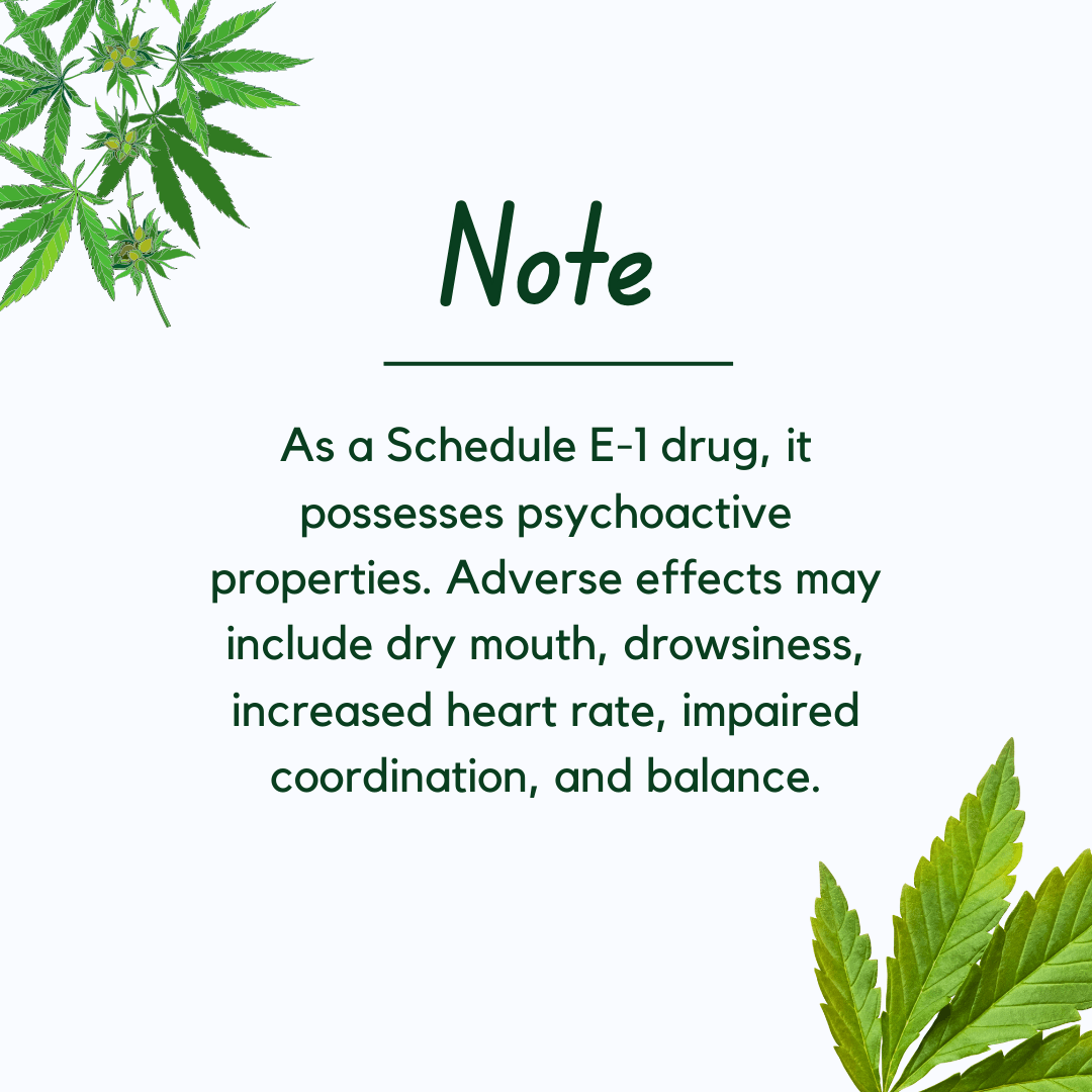 Capsules - Medicann- Cannabis Leaf Extract Capsule - 100mg