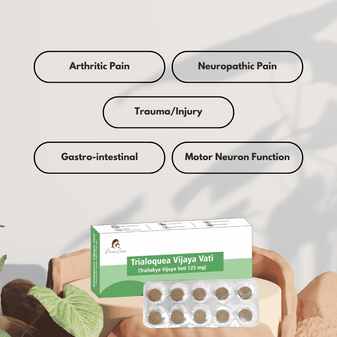 Trialoquea Vijaya Vati (Multi-benefit Elixir)TabletsTrailokya Vijaya Vati - Multi-benefit | Ayurvedic Relief