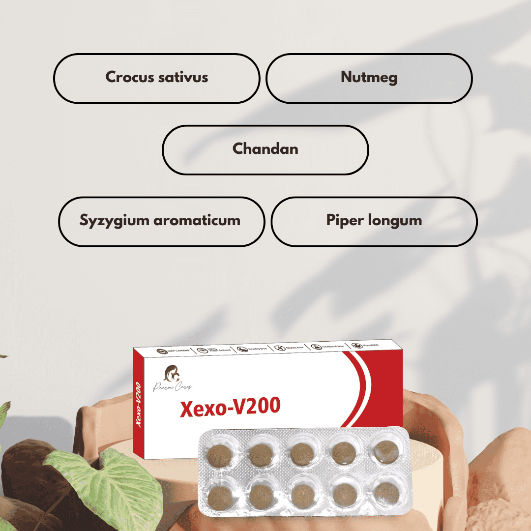 Paarmi Cares- Xexo- V200 (For Vitality & Vigour)Ayurvedic TabletXexo V200 - Vitality Supplement | Boost Energy & Libido