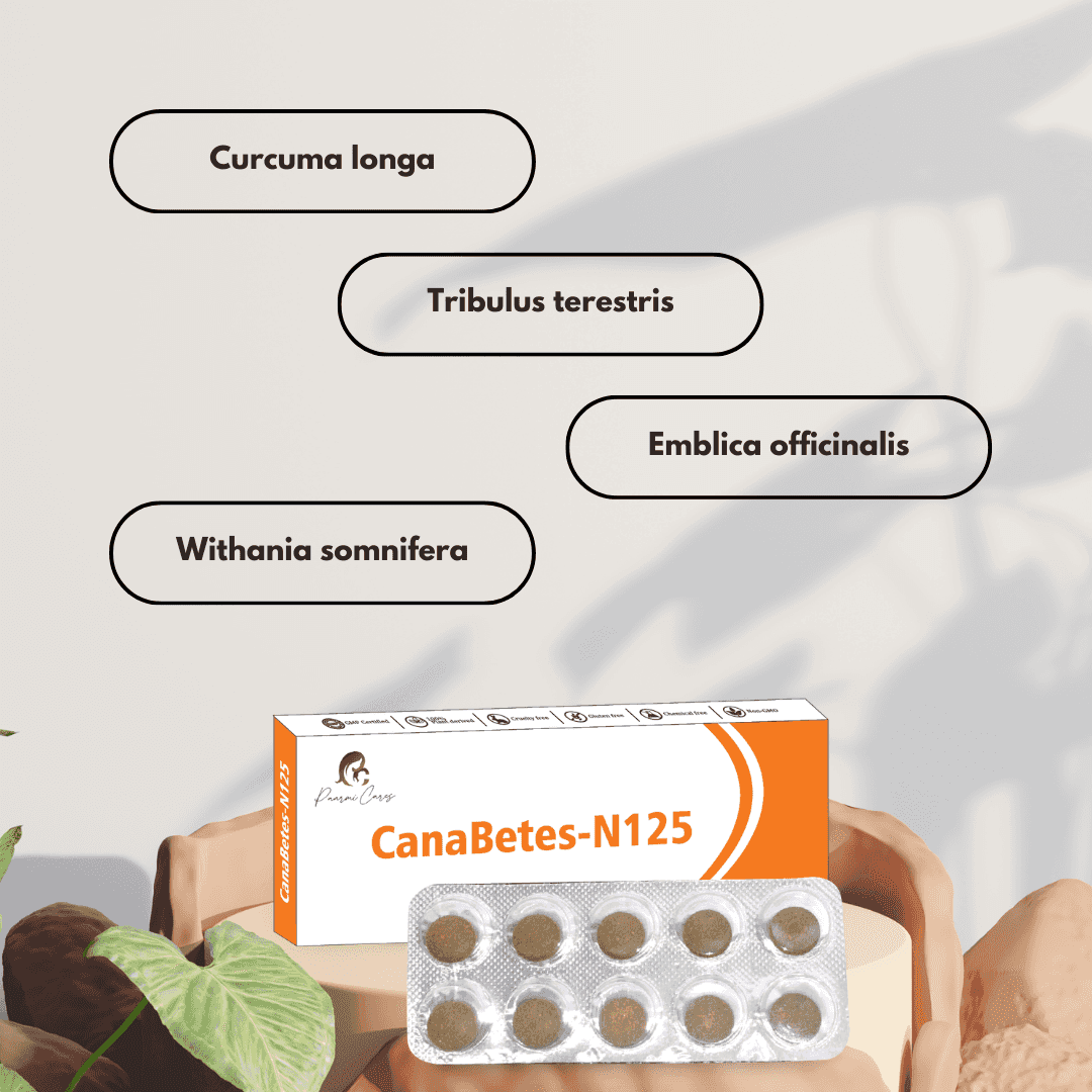 Paarmi Cares- CanaBetes-N125 (For Diabetes)TabletsPaarmi Cares CanaBetes-N125 - Cannabis Diabetes | Key Ingredients