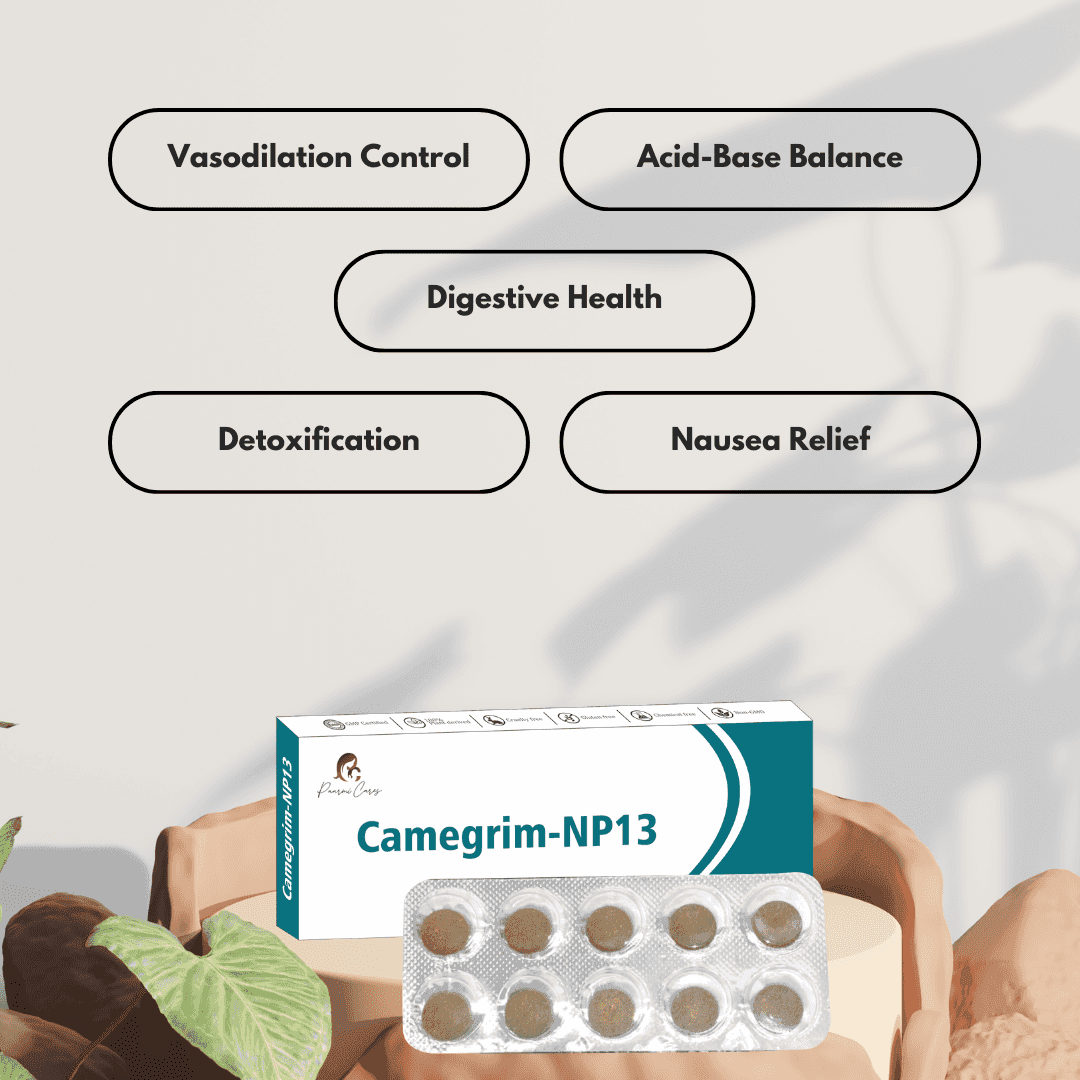 Paarmi Cares- Camegrim-NP13 (For Migrain)TabletsPaarmi Cares Camegrim-NP13 - Migraines Relief | Ayurvedic Tablets