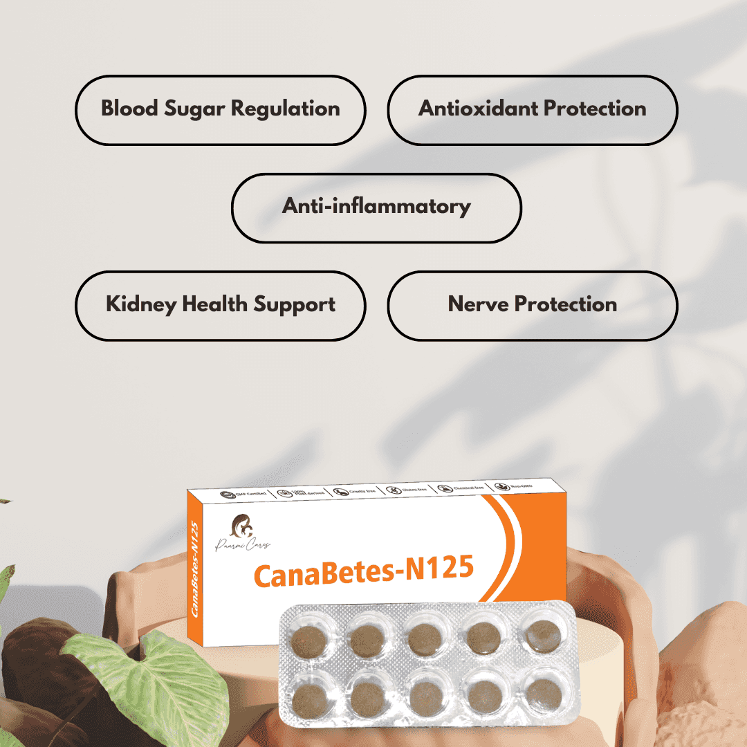 Paarmi Cares- CanaBetes-N125 (For Diabetes)TabletsPaarmi Cares CanaBetes-N125 - Cannabis Diabetes | Key Ingredients