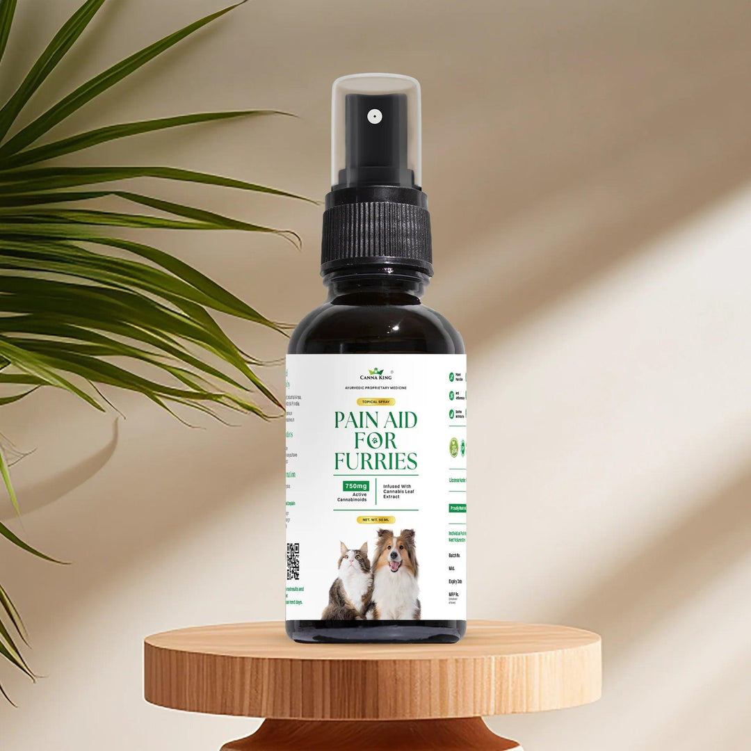 Cannaking- Pain Aid for Furries (Topical)- 750mg  (50ml)Pet CBD oilCannaking Pain Aid for Furries - CBD Relief Topical | 750mg
