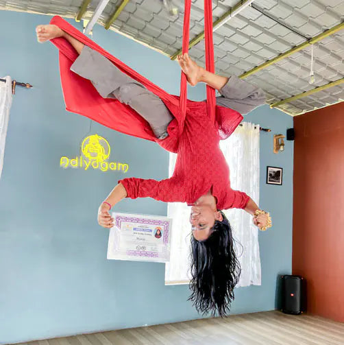 Ejoyous Aerial Yoga Hammock - Anti-Gravity Yoga Swing for Pilates, Portable Hammock Swing with Carry Bag & Extension Straps (2-Pack Complete Set Ejoyous Aerial Yoga Hammock - Anti-Gravity Yoga Swing for Pilates, Portable Hammock Swing with Carry Bag & Extension Straps (2-Pack Complete Set