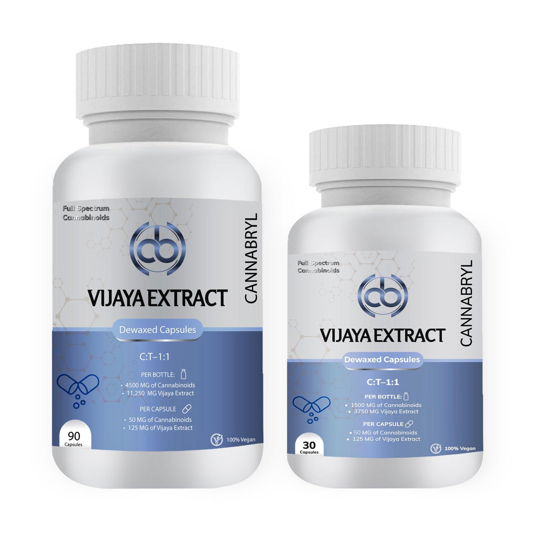 Cannabryl - Vijaya Dewaxed Extract CapsulesVijaya Dewaxed Extract CapsulesCannabryl - Vijaya Dewaxed Extract Capsules