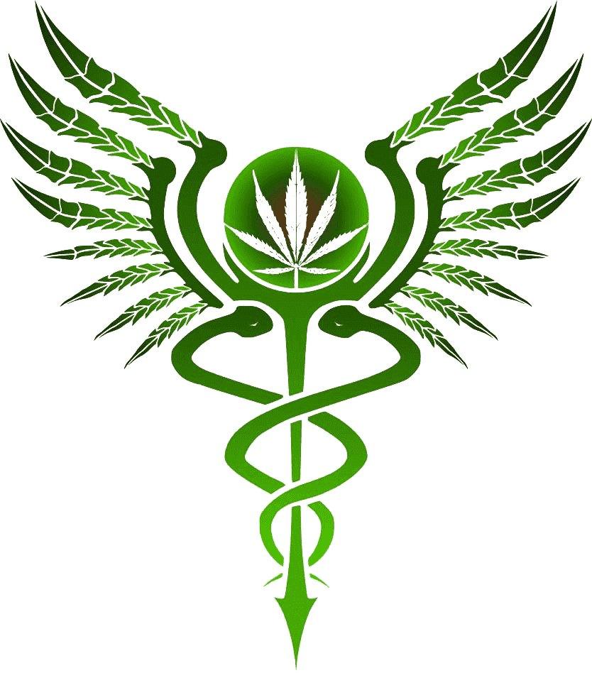 Doctor Consultation Follow-Up
