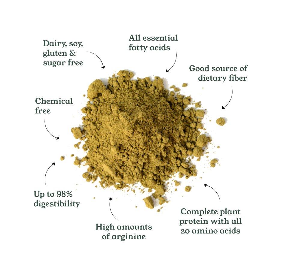 Indus Hemp - Hemp Protein Powder 500gms/1KG/2KGHemp Protein PowderIndus Hemp - Hemp Protein Powder | Hemp Nutrition | CBD Store India