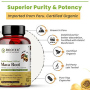 Rooted Maca Root Extract 750Mg- CBD Store India