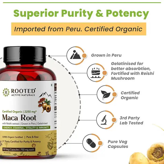 Rooted Maca Root Extract 750Mg- CBD Store India