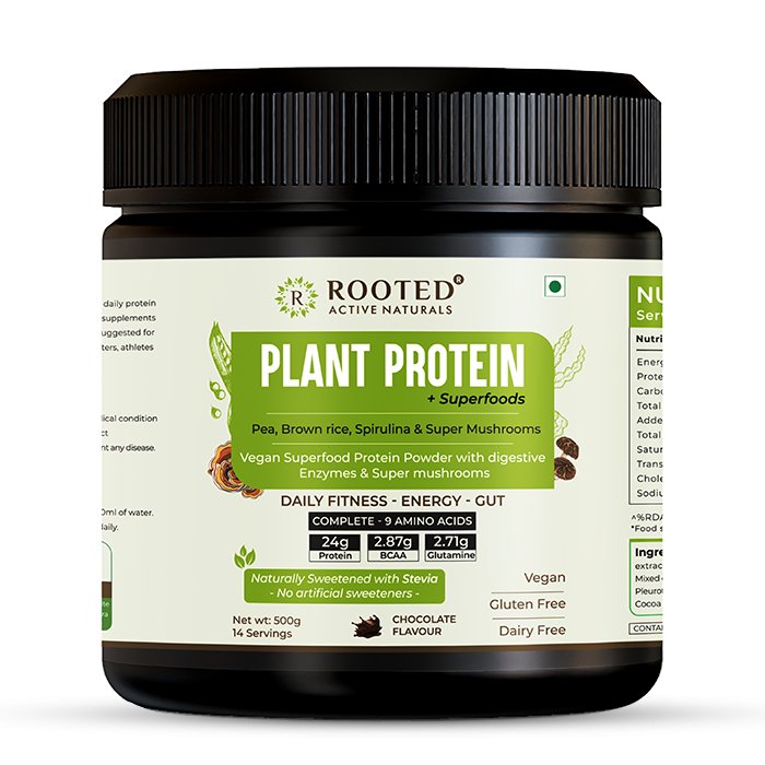 Rooted Plant Protein powder, 24gm protein from Pea, Super Mushrooms, Brown Rice, Spirulina & | Probiotics, Enzymes, Super mushrooms 500 gm | Chocolate flavour - CBD Store India