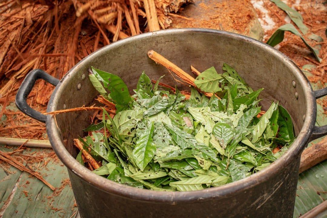 Sacha Runa Shamanic Retreats in Bolivia - 15 Day RetreatShamanic RetreatsShamanic Retreats Bolivia - 15 Day Healing Journey