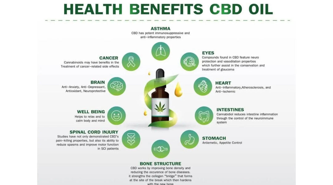 5 Surprising Benefits of CBD Oil That You Should Know - CBD Store India