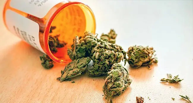 7 Quick Facts about Medical Marijuana