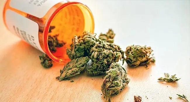 7 Quick Facts about Medical Marijuana.