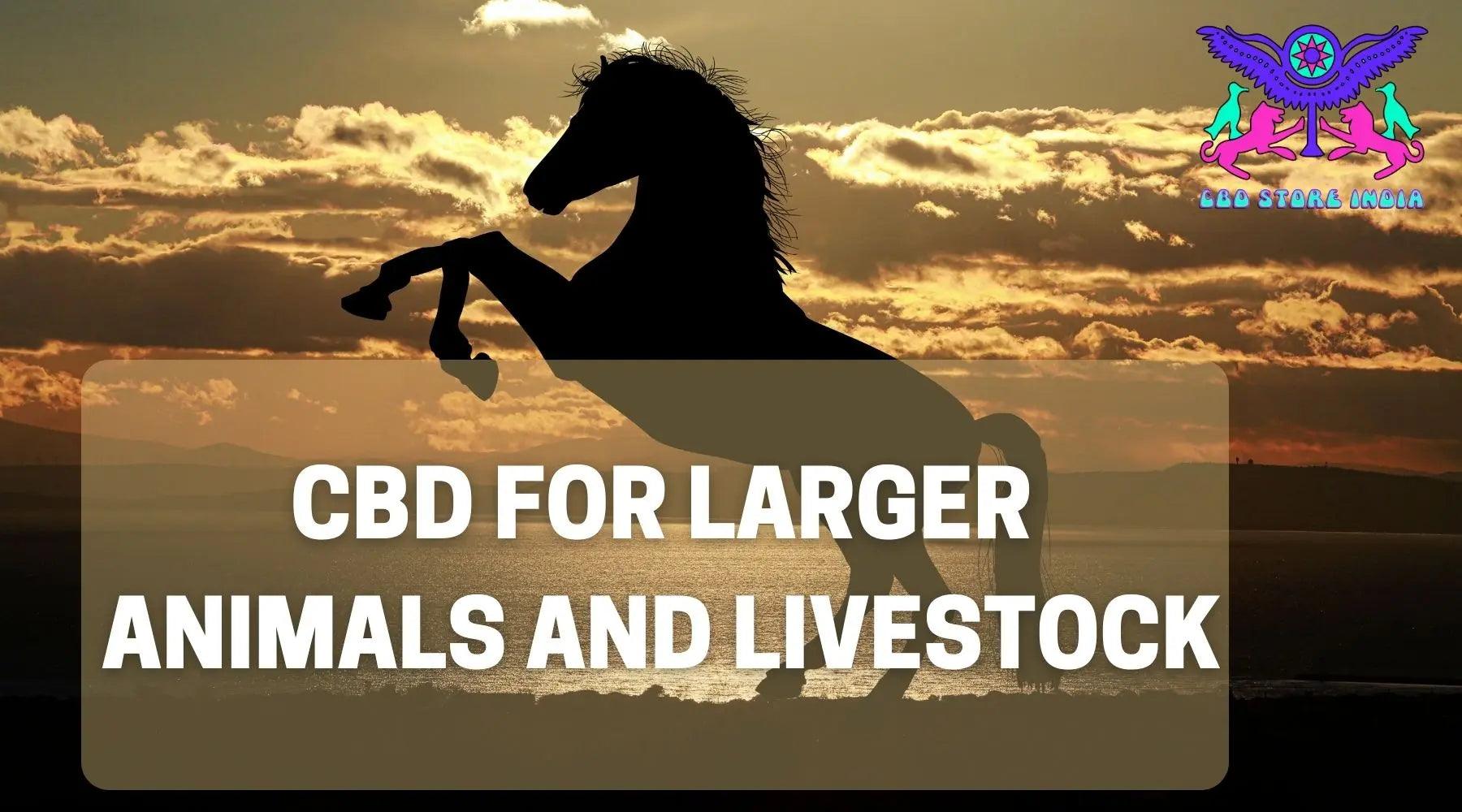 CBD for larger animals and livestock - does it work?.