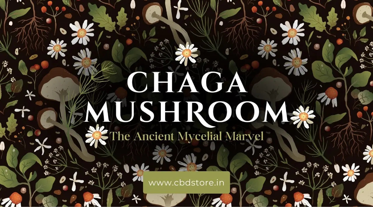 Chaga-Mushroom-The-ancient-mycelial-marvel-on-the-frontlines-of-modern-day-medicine - CBD Store India