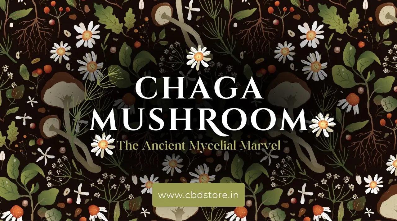 Chaga Mushroom: The ancient mycelial marvel on the frontlines of modern-day medicine.