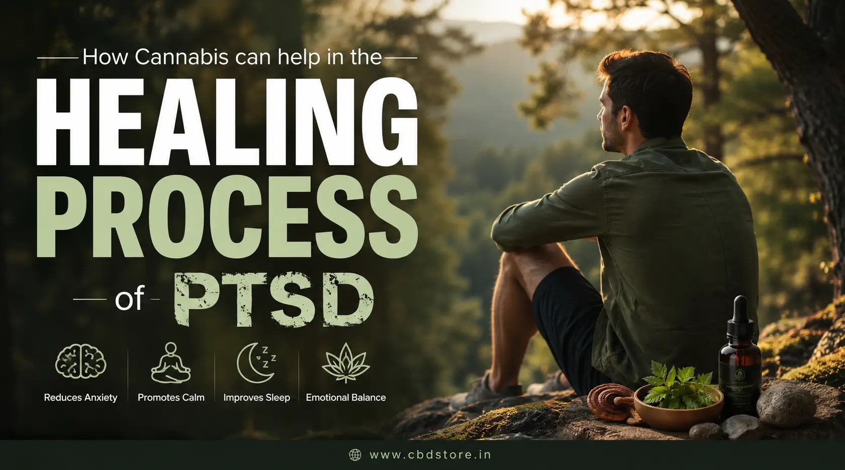 How Cannabis can help in the healing process of PTSD