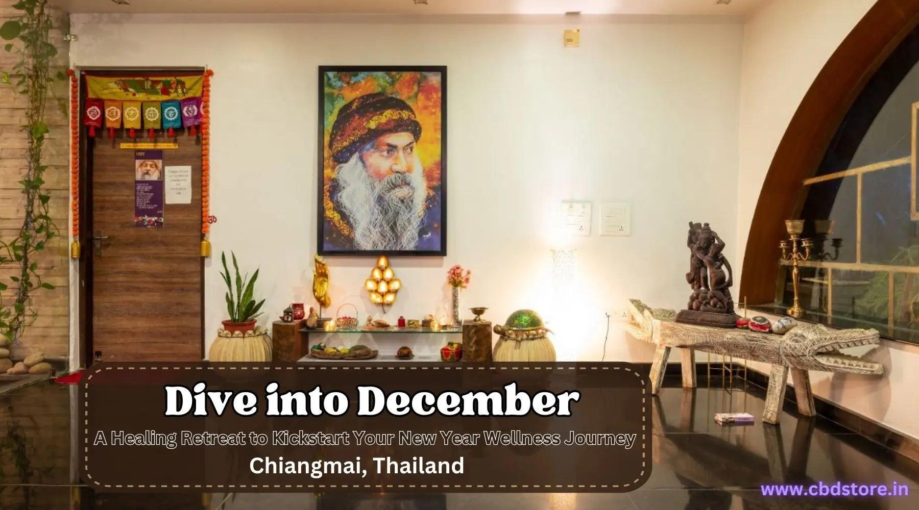 Dive into December - A Healing Retreat to Kickstart Your New Year Wellness Journey.