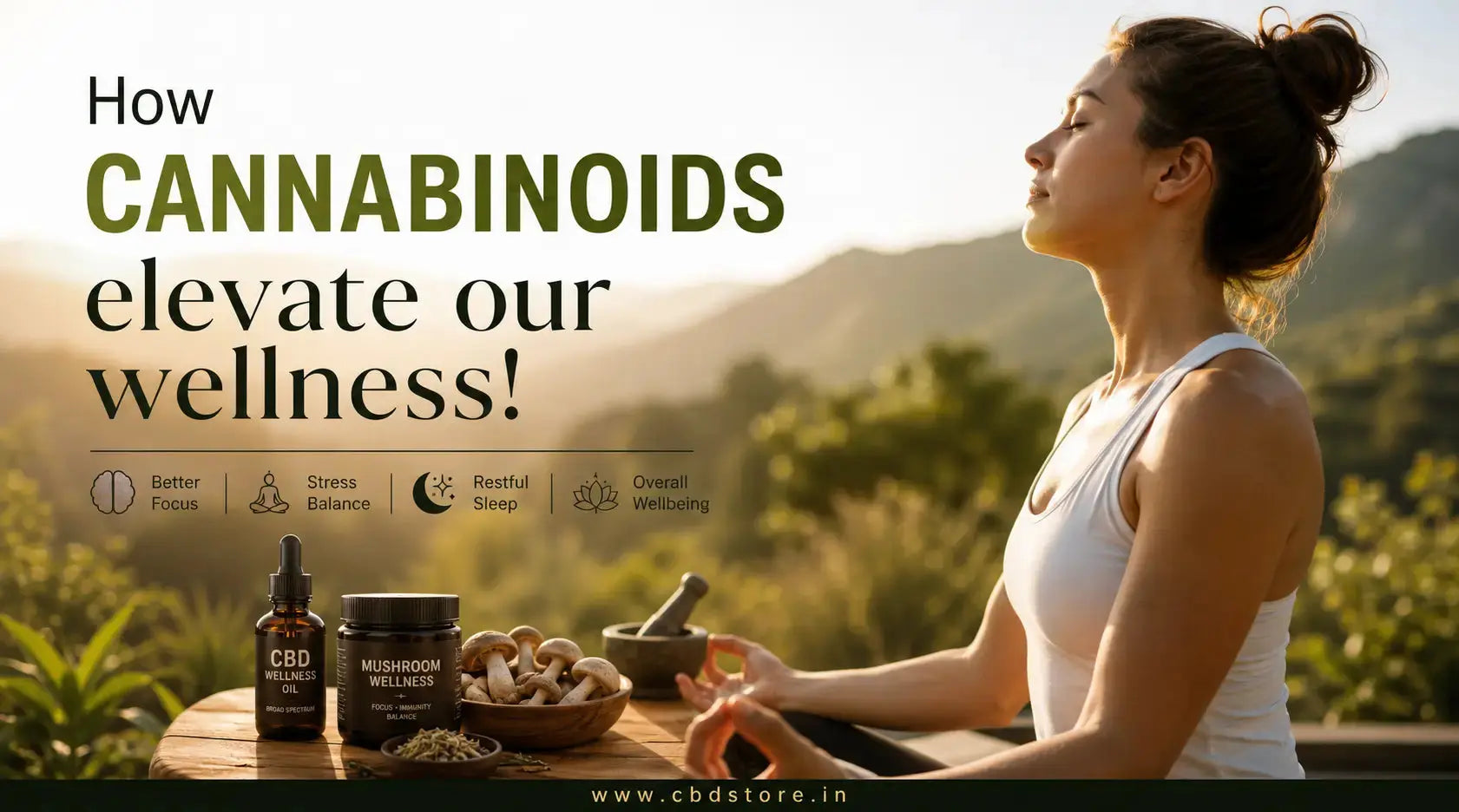 How Cannabinoids elevate our wellness! - CBD Store India