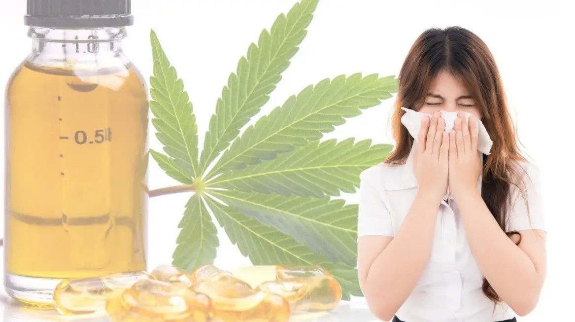 How is CBD beneficial against cold and flu?