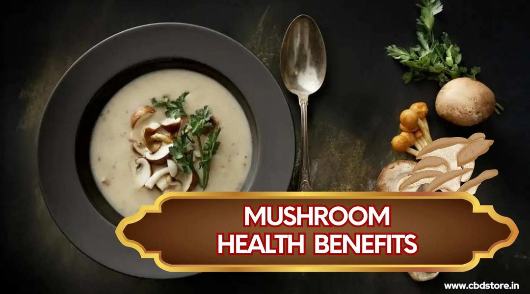 Shrooms: How Medicinal Mushrooms can complement Indian Diet and Lifestyle - CBD Store India