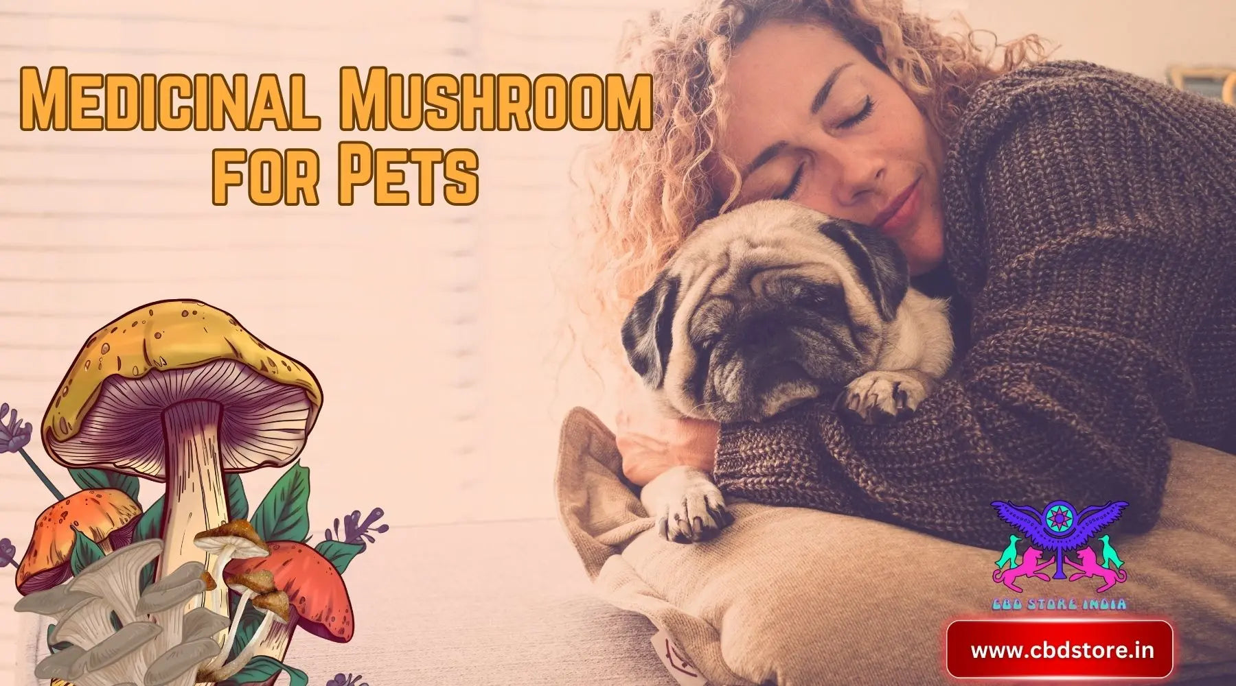 The Healing Power of Medicinal Mushrooms for Dogs and Cats