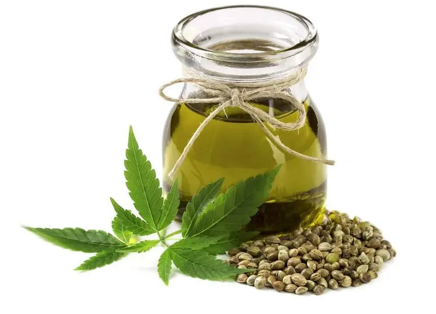 The Impact Of Hemp Oil On The Brain - CBD Store India