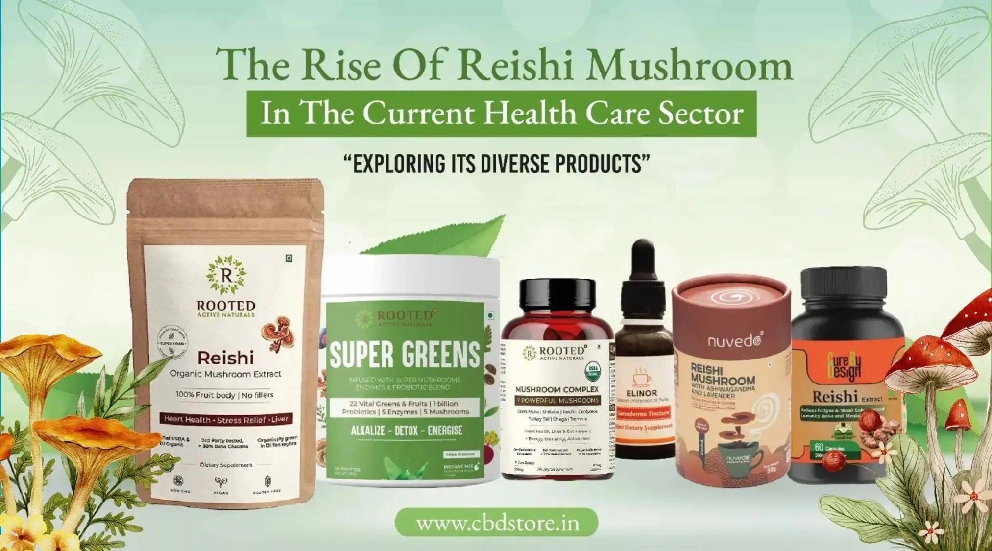 The Rise of Reishi Mushroom in the Current Health Care Sector: Exploring Its Diverse Products.