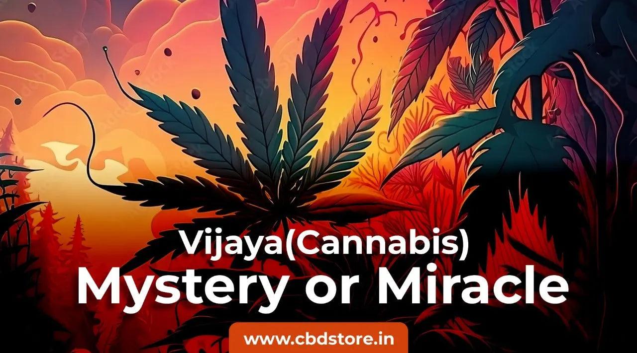 Vijaya (Cannabis) : Unveiling the Controversy - Is it a Menace or a Miracle.