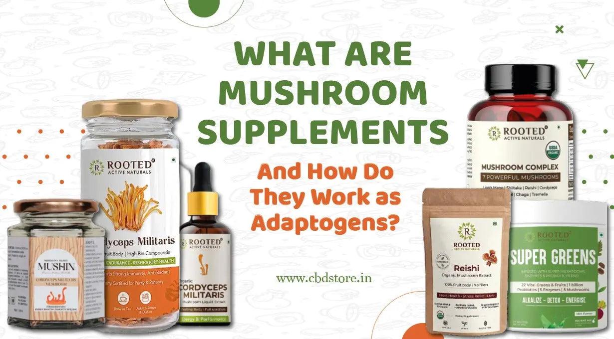 What are Mushroom Supplements & How Do They Work as Adaptogens?.