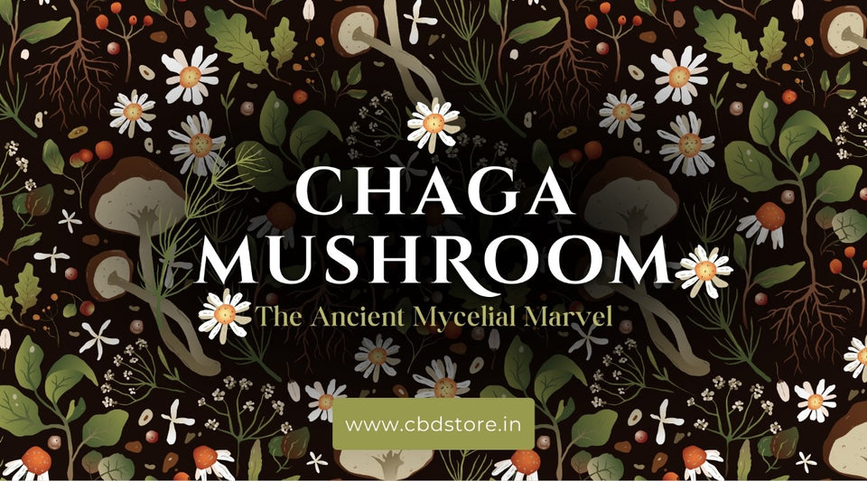 Chaga Mushroom: The ancient mycelial marvel on the frontlines of modern-day medicine