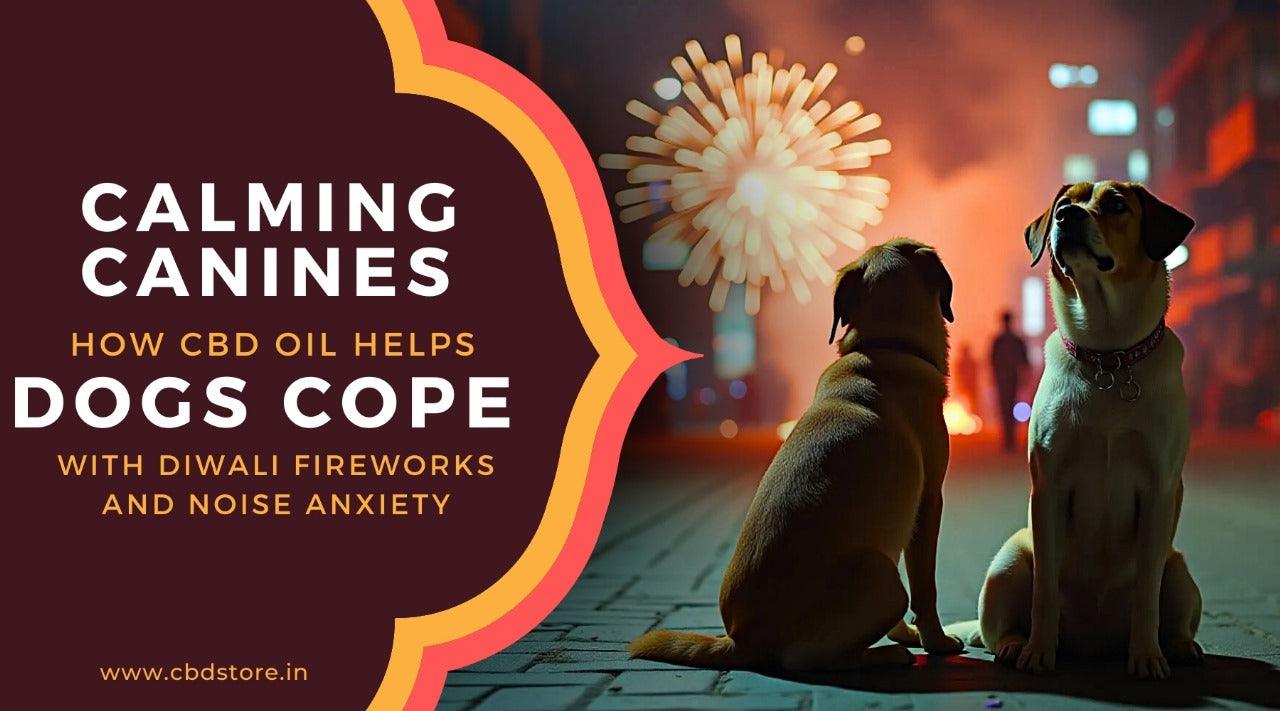 Calming Canines with CBD Oil: Easing Diwali Noise Anxiety in Dogs.