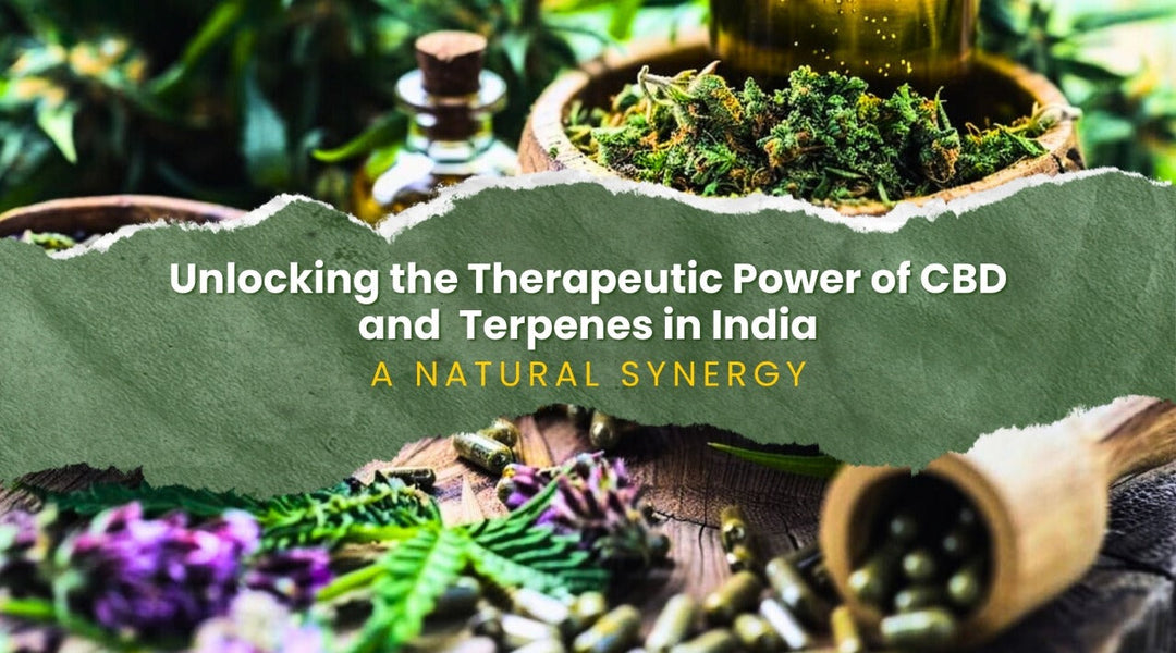 Unlocking the Therapeutic Power of CBD and Terpenes in India: A Natural Synergy.