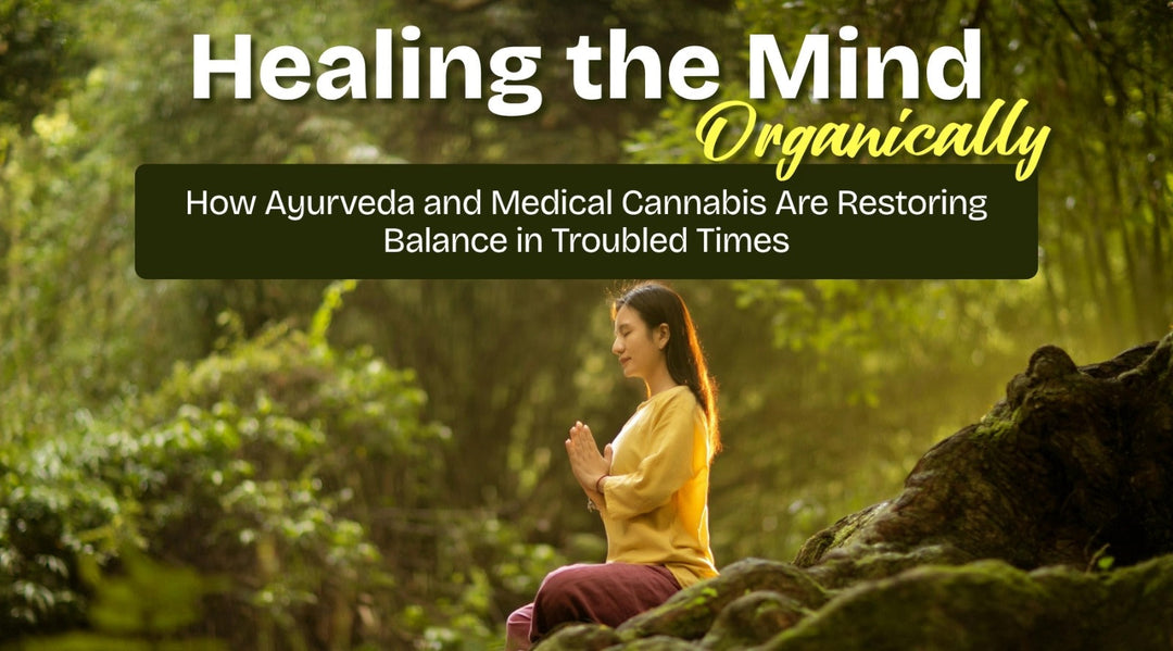 Healing the Mind, Organically: How Ayurveda and Medical Cannabis Are Restoring Balance in Troubled Times.