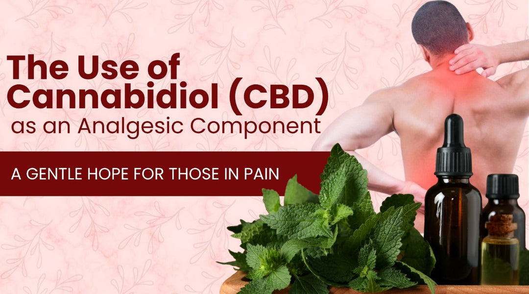 The Use of Cannabidiol (CBD) as an Analgesic Component: A Gentle Hope for Those in Pain.