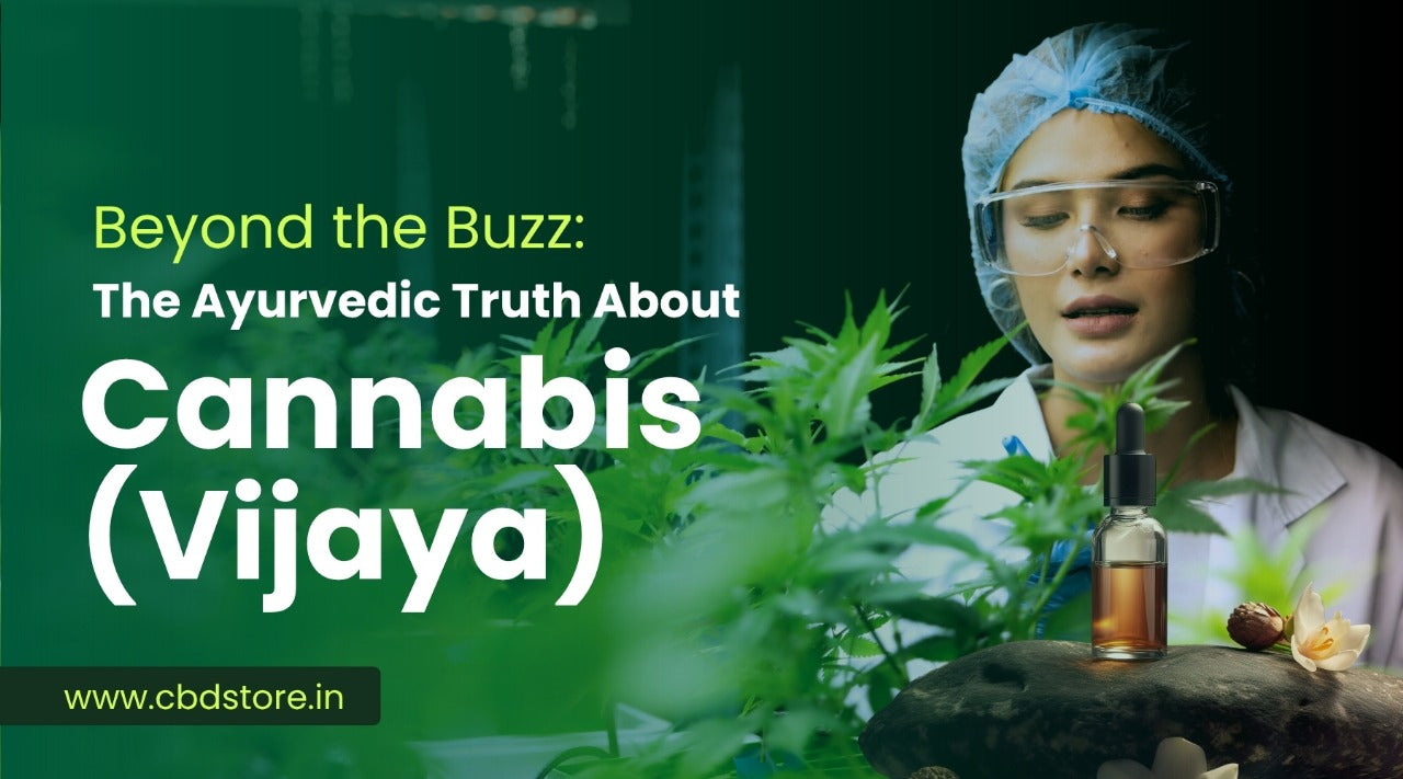 Let’s Reimagine Cannabis: From Stigma to Sacred Plant