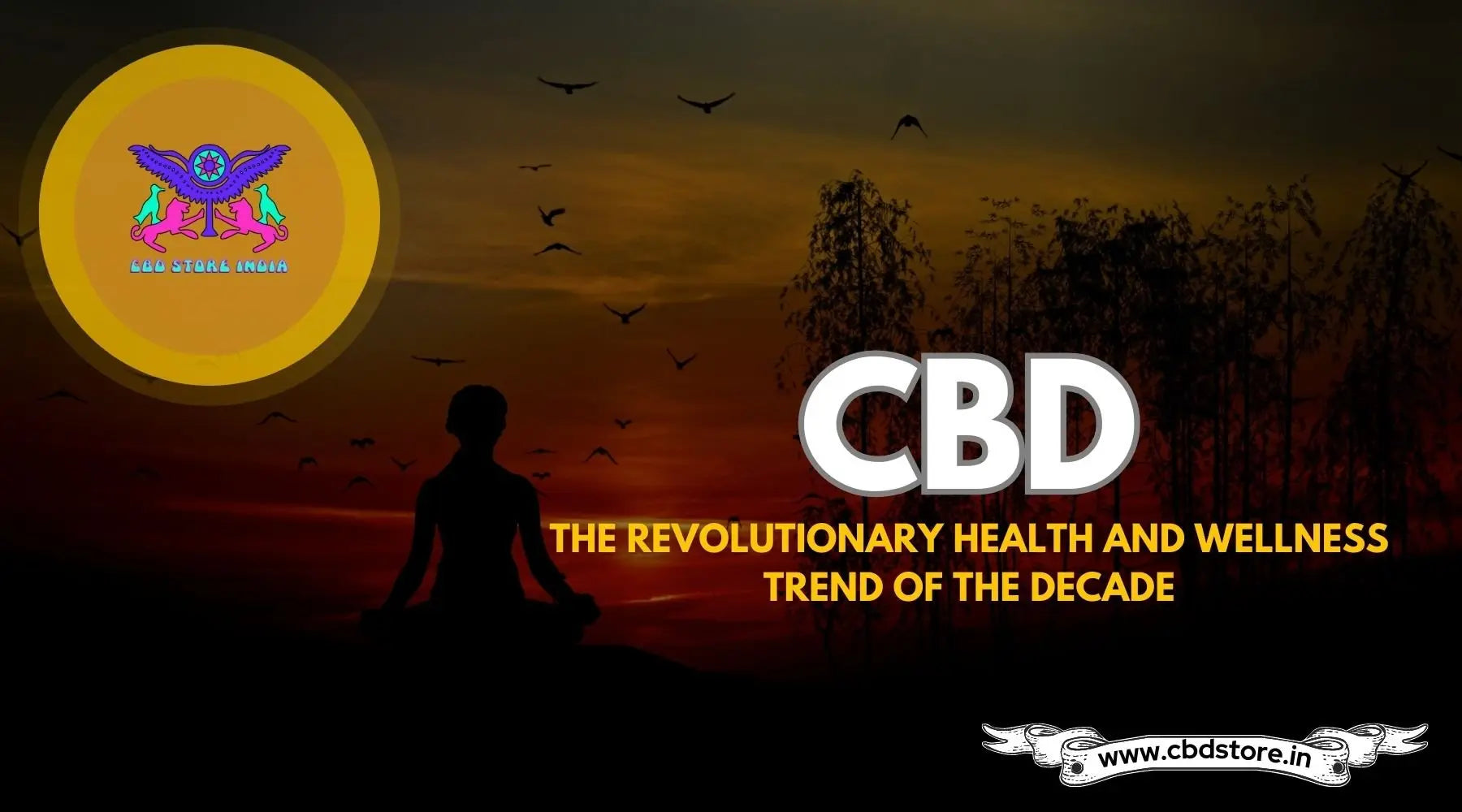 Why CBD is the New Health and Wellness Trend