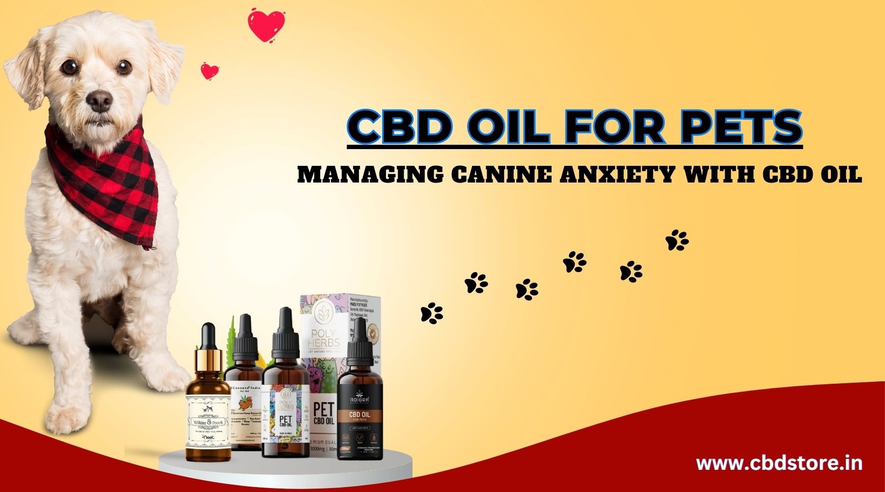 CBD Oil for Pets: Managing Canine Anxiety with CBD Oil - CBD Store India
