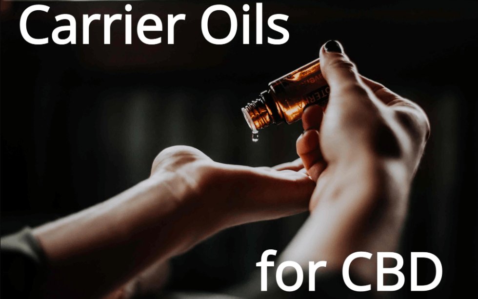 Choosing The Best Carrier Oil For CBD - CBD Store India