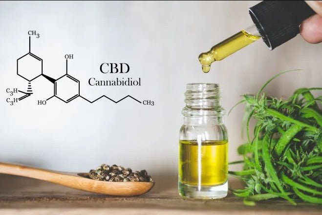 Debunking the 6 Common Myths about CBD Oil - CBD Store India