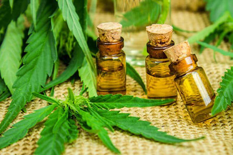 How can CBD oil reduce pain and inflammation? - CBD Store India