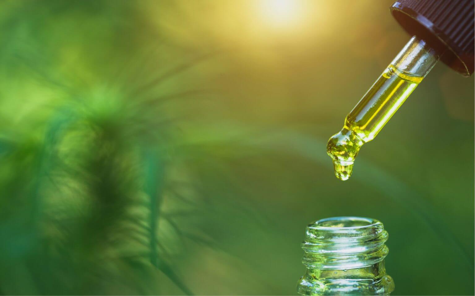 How Many Drops Of CBD Oil Should You Take? - CBD Store India