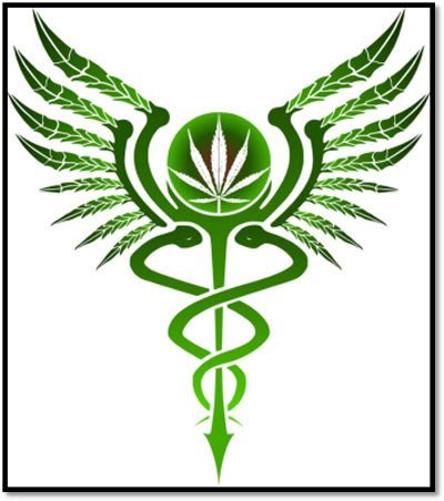 How to Make Best Use of Medical Marijuana India Online - CBD Store India