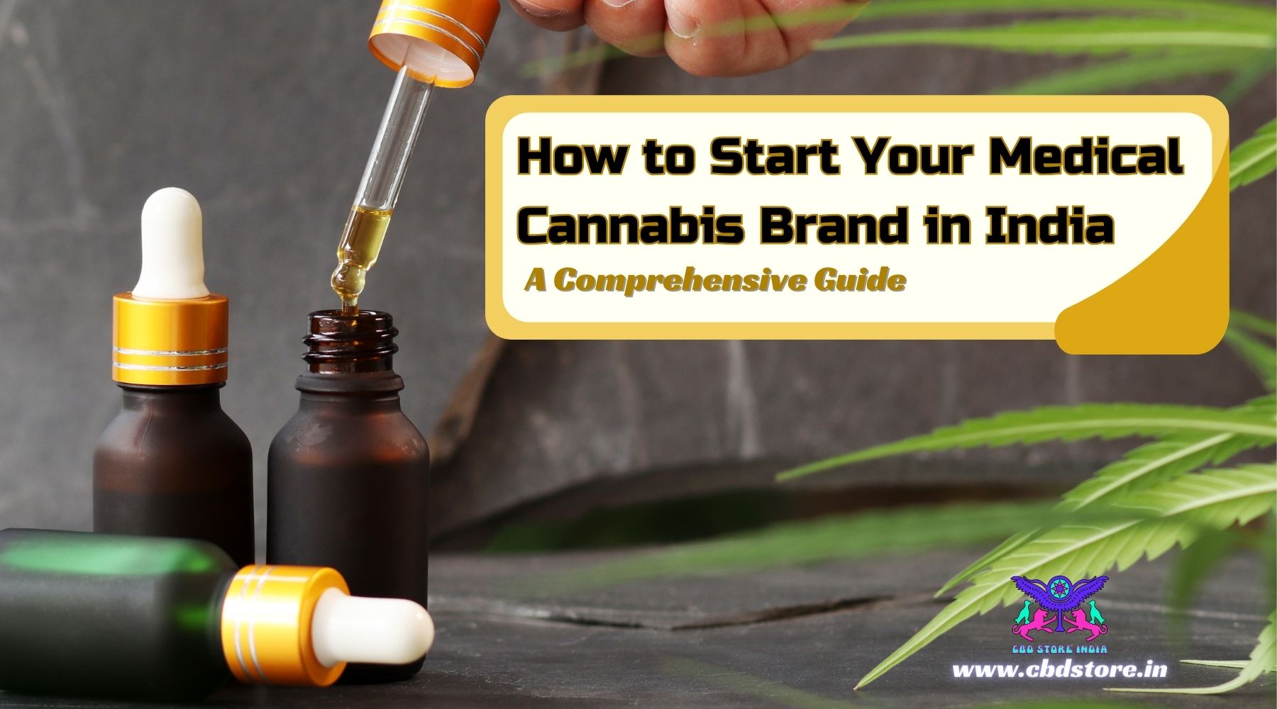 How to Start Your Medical Cannabis Brand in India: A Comprehensive Guide - CBD Store India