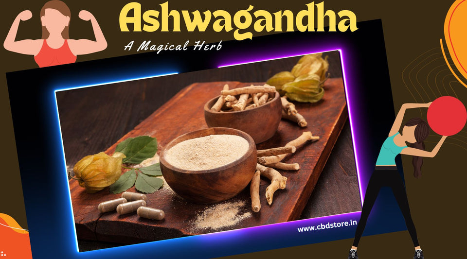 Unlocking the Power of Ashwagandha: Nature's gift for inner strength and tranquility - CBD Store India