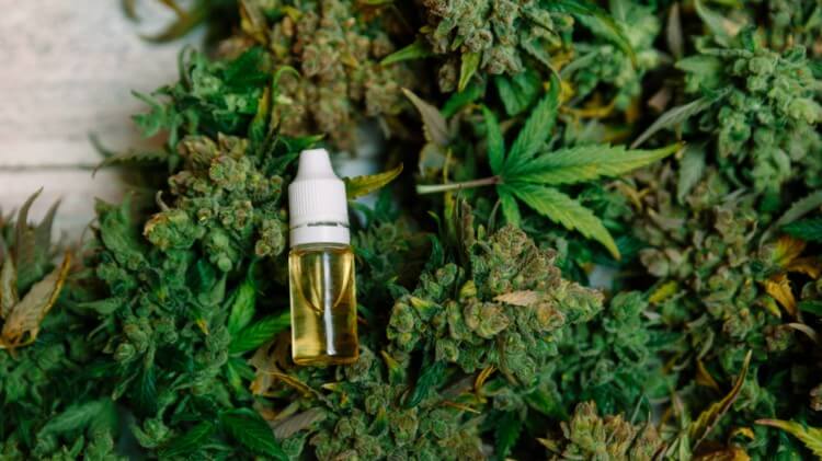 What Effect Does Medical Marijuana Have on Asthma? - CBD Store India