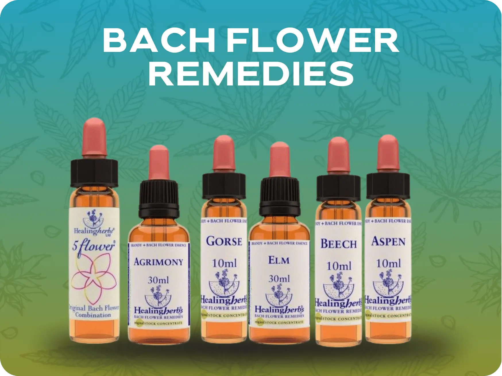 Bach Flower Remedies.